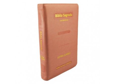 BÍBLIA COM HARPA AVIVADA E CORINHOS - LETRA JUMBO - CAPA EM BAIXO RELEVO-ACABAMENTO ZÍPER-ROSA