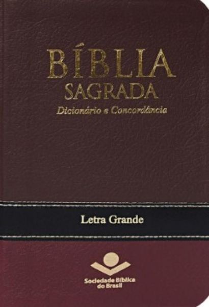 Biblia Sagrada Com Dicionario e Concordancia Capa em Couro Bonded Com Costura Masculina RA