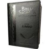 Bíblia Letra Jumbo Cp Luxo Com Harpa Avivada E Corinhos - Rc-Cor Café