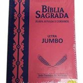 Bíblia Letra Jumbo Rc Cor Pink Luxo C/Harpa E Bordas Floridas