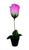 Vaso Com Flor (Acompanha Caixinha Transparente)