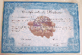 Certificado de Batismo Mundial /31 x 21