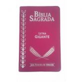 Biblia Letra Gigante rc / cor vinho