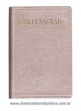 Biblia Letra Gigante Luxo Com Dicionario + Concordancia cor