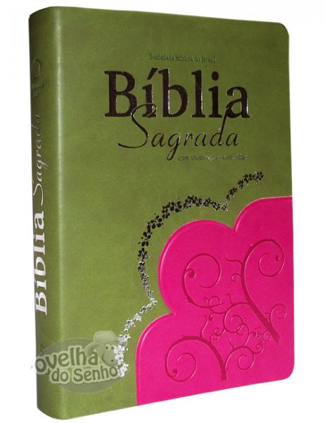 Biblia Sagrada RA com ilustração-cor verde x pink